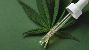 CBD Oil for Animals